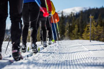 Snow and ski sports