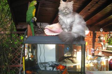 Photo 39