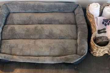 Pet-friendly amenities