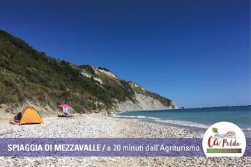 Photo 52
