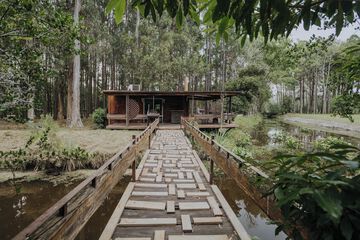 Lake view