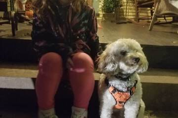 Pet-friendly