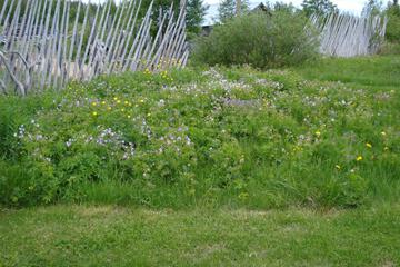Photo 84