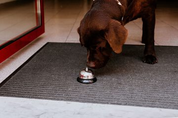 Pet-friendly
