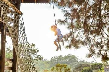 Ziplining