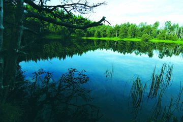 Lake