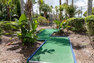 Mini-golf