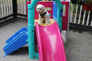 Children's activities