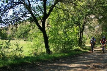 Ecotours