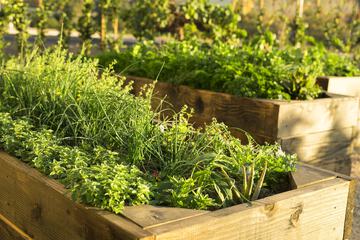 Hotel Exterior 116 of 143