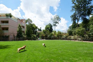 Pet-friendly amenities
