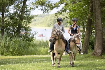 Horseback riding