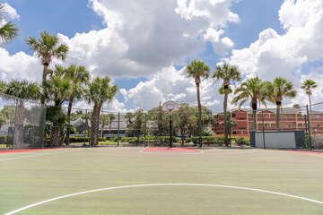 Basketball court