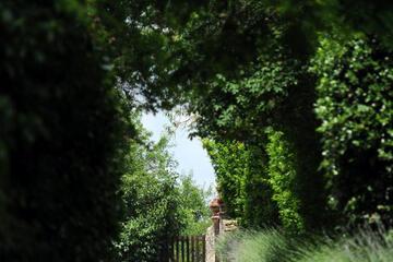 Photo 44