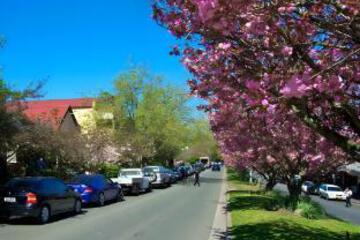 Surrounding environment