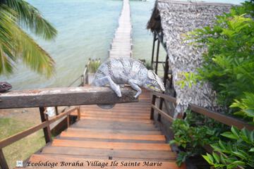 Dock