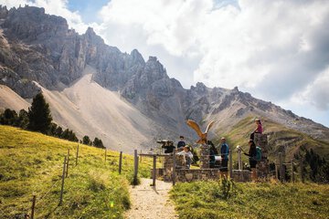 Children's activities