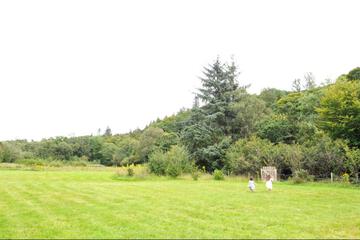Photo 40