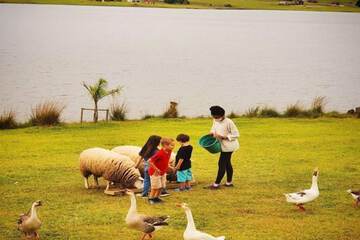 Children's activities