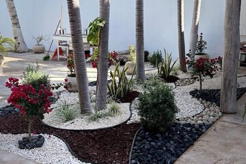 Garden view