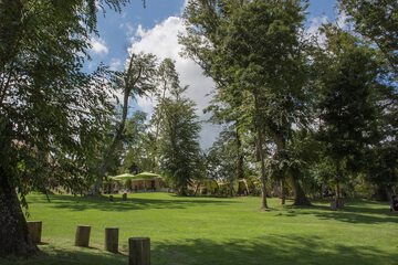 Pet-friendly amenities