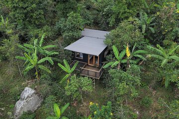 Building design