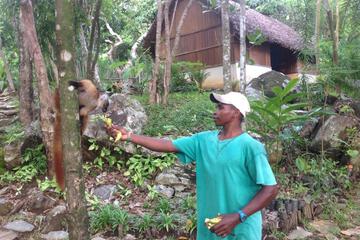 Photo 44