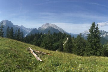 Hiking