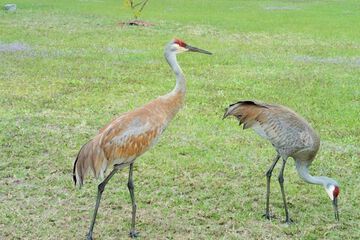 Property Grounds 22 of 24