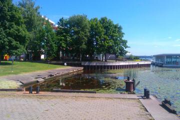 Photo 51