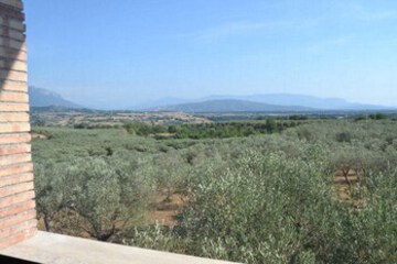 Guestroom View