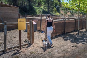 Pet-friendly amenities