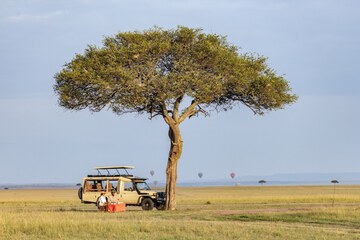 Game drive