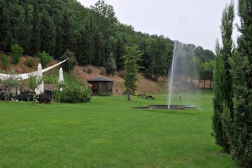 Park view
