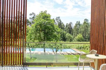 Vineyard view