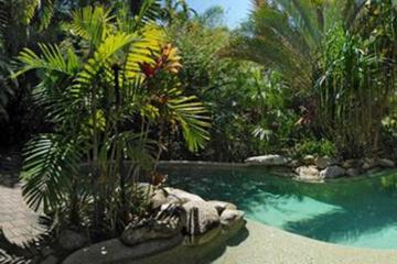 Swimming pool [outdoor]