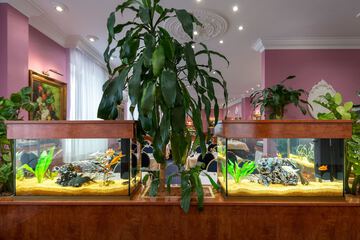 Interior detail