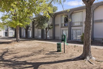 Pet-friendly amenities