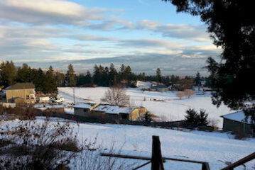 View from Hotel
