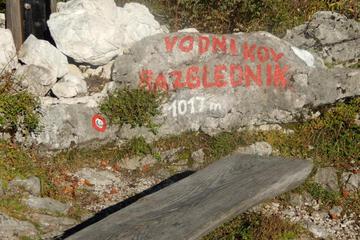 Photo 48