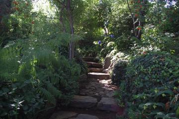 Photo 38