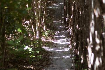Photo 70