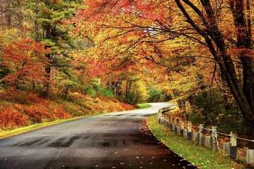 Children's activities