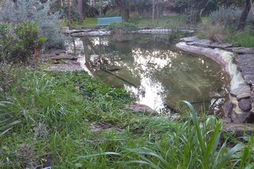 Lake