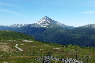 Photo 40
