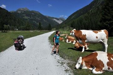 Hiking