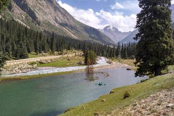 Photo 23