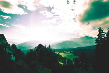 Photo 31