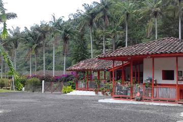Photo 41