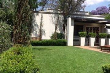 Terrace or Patio
